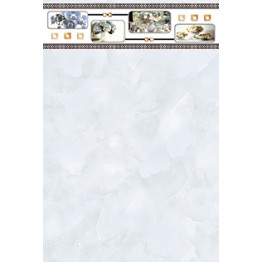 Gạch ốp 30x45 Prime Build 14.300450.04203